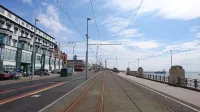總統酒店 - 宠物友好