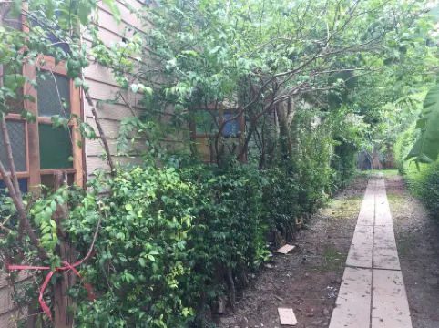 RoomQuest Amphawa Floating Market