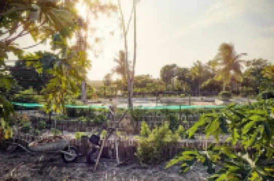 Villa Paz - la Villa Group