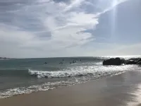 The Coconut Hotels in Ampara