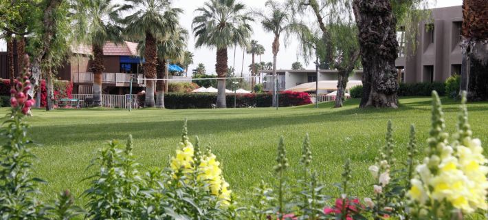 Shadow Mountain Resort & Club Hotels in Palm Desert