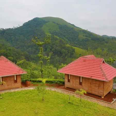 Wild Planet Jungle Resort