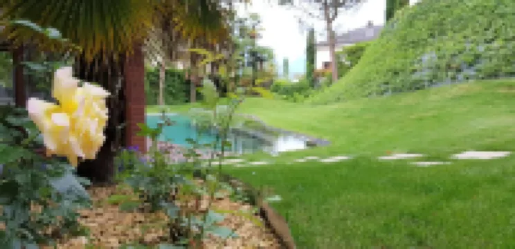 Montreux Rotana Villa
