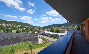 Hotel Schlossberg Wehingen