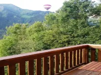 Chalet in Rossiniere Near Glacier & Lake Hotels in Rossiniere