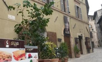 Camere Carli