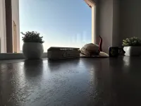 Lemon Factor Sorrento - Bed and Breakfasts