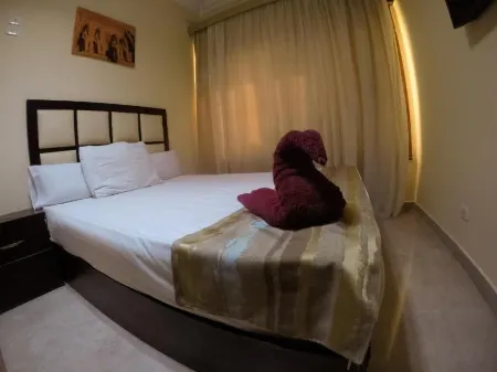 City Hotel Отели рядом с достопримечательностью «TUTANKHAMUN'S TREASURE»