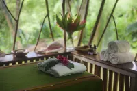 棉花樹旅館 - SPA