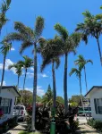 Delight Retreat Apt 4 Min Walk to Beach