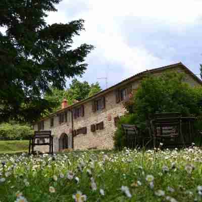 Two-Room Apartment in Tuscany Country Style Hotel Exterior