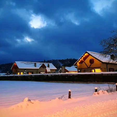 Abant Cozy Homes