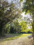 PianPieve Nature & Relax Apartments Hotels in Piano Delle Pieve