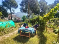 Awestrucking Place With Unforgettable Beauty Hotels in Barog