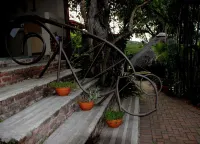 Lost Trail Bed and Breakfast