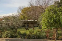 Slowness - Kibbutz Moran