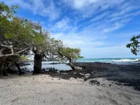 Galapagos Verde Azul - en bord de mer