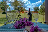 Villaggio Dos Pássaros Hotels in São Sebastião