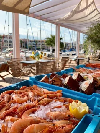 Cit'Hotel des 2 Golfs Отели рядом с достопримечательностью «Aqualand Port Leucate»