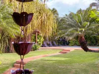 We're Booking Now - Calendar Not up to Date.