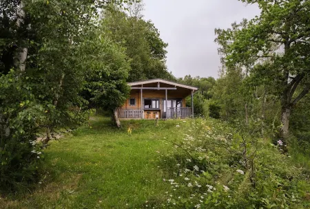 Pour les Curieux de L'insolite Nature