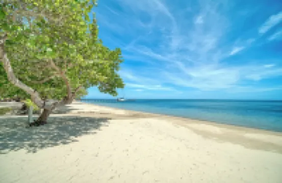 Island Living 2-Bed, 2-Bath Oceanfront Ground-Level Condo Direct Beach Access E7