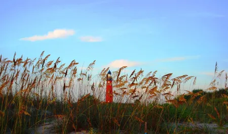 Oceanfront Oasis Отели в г. Понс-Инлет