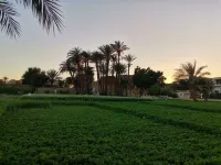 WestLuxApartment