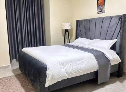 Luxurious fully furnished 2 bedroom 2 bath penthouse 5 mins from city center