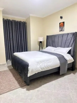 Luxurious fully furnished 2 bedroom 2 bath penthouse 5 mins from city center
