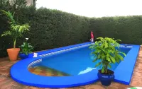 Comfortable apartment and swimming pool in the shade of the pine forest of Chipiona - piscina