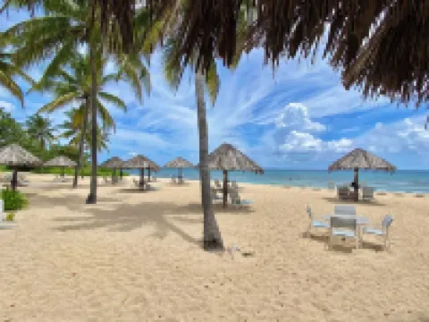 Ocean Front Blue Water Paradise