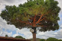 Palombaggia - Villa "SUNTUOSA": Where Luxury Meets Privacy