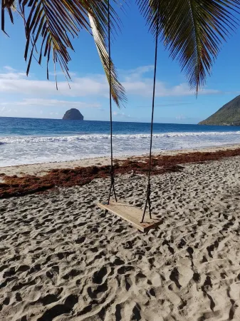 Apartment Janelle type F2 Отели в г. Ле Диаман