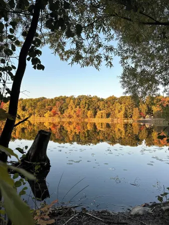 Newly Built Detached Home! Close to nature and city.