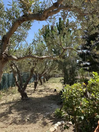 Holiday home with beautiful sea views, 3 minutes walk from the beach