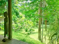 Paradise Garden House NEAR BEACH w/pool Hotels near Cobano Airport
