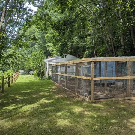 Hill Top Cottage with Chickens!