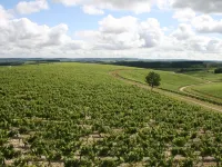 Maison des 7 Lieux Hotels in Chablis