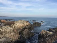 Sea Rose Suites