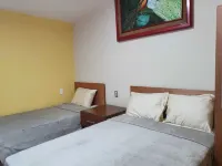 Hotel San Fernando Inn Hotels in 