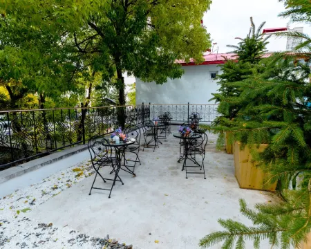 Grand Ani Hotel Kars otelleri