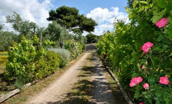 Green Retreat with Private Patio – Just 7 km from Sperlonga
