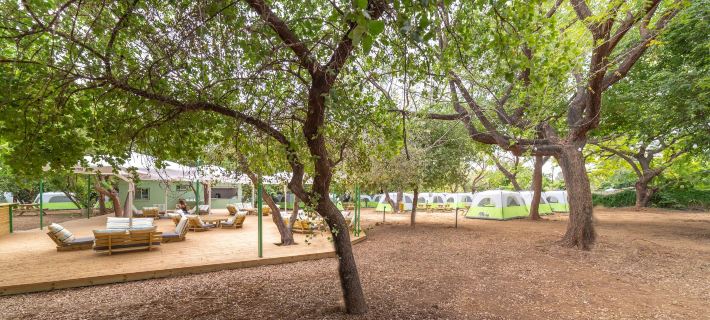 Camping Dafna - by Travel Hotel Chain Hotels in Tzfat