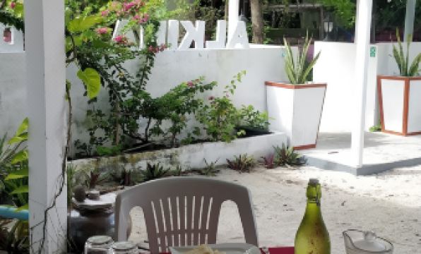 Alkina lodge - Housity