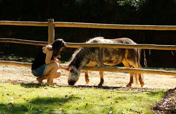 波薩達阿勞卡里亞