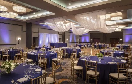 Hyatt Regency Lisle Near Naperville