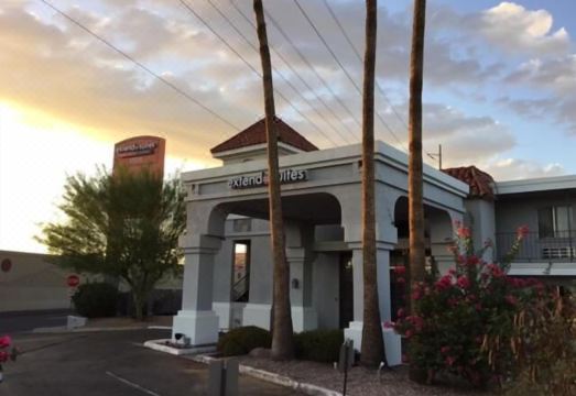 소네스타 셀렉트 피닉스 캐멀백