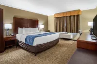 Comfort Inn Sunnyvale - Silicon Valley Hotels in Sunnyvale