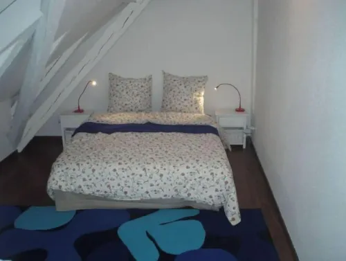 TOURIST RENTAL HISTORIC CENTER COLMAR